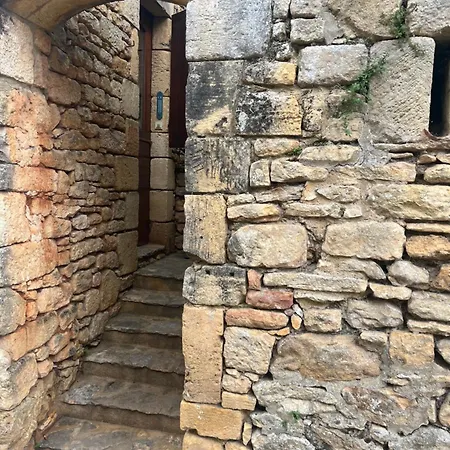 La Garrigue 15 Minutes Sarlat & Lascaux Avec 2 Piscines Tamniès