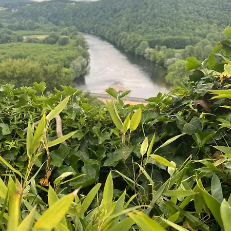 La Garrigue 15 Minutes Sarlat & Lascaux Avec 2 Piscines Сasa de vacaciones Tamniès